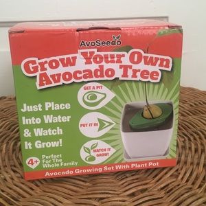 Avoseedo Grow Your Own Avocado Tree Kit
